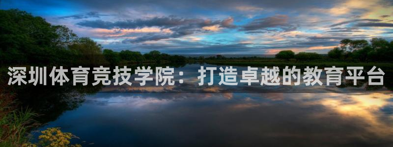 千亿国际官网下载是干嘛的公司:深圳体育竞技学院:打造卓越的教
