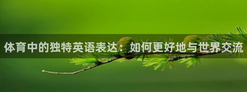 千亿国际官方正版app集团简介:体育中的独特英语表达:如何更