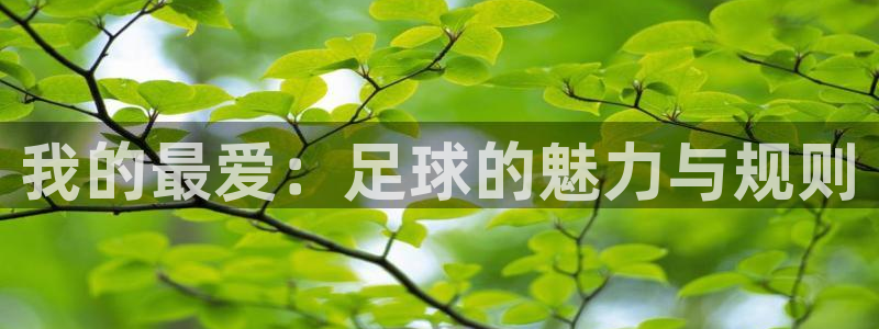千亿国际官方正版app集团官网首页:我的最爱:足球的魅力与规